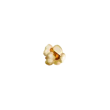 Pirots 2 popcorn symbol