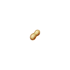 Pirots 3 peanut symbol